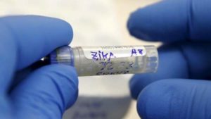 Usa, contagio virus Zika tra familiari: via di trasmissione diversa da quelle già note